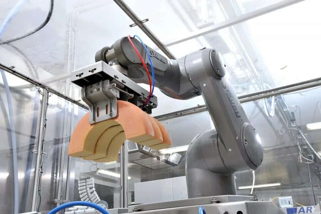 A robot is a special