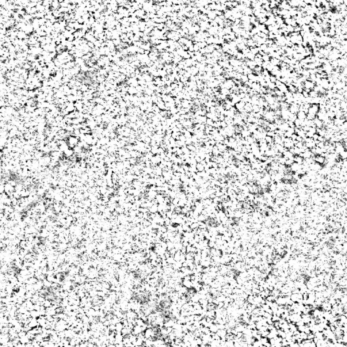Noise like me