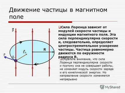 На птицу действуют 4 взаимно перпендикулярные силы