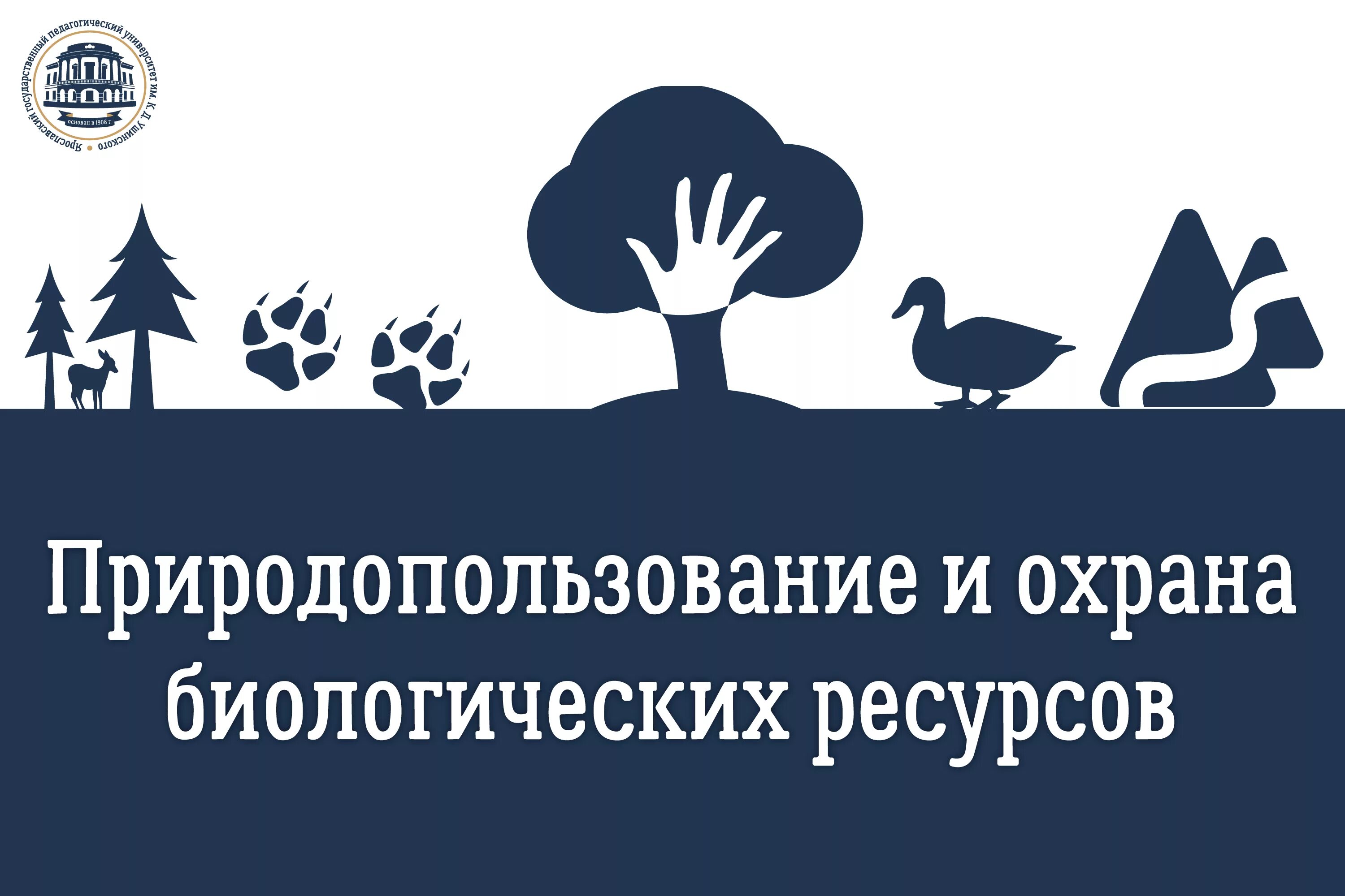 Сохранение биоресурсов. Сохранение биоресурсов