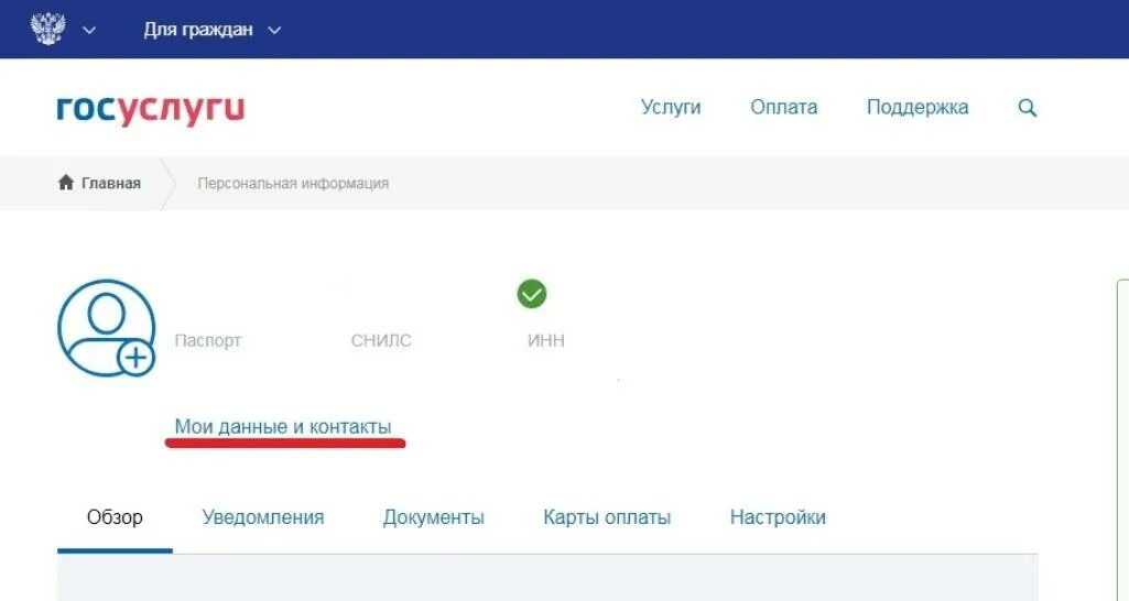 Упрощенная регистрация на госуслугах. Госуслуги. Госуслуги добавить запись. Госуслуги код. Регистрация юридического лица на госуслугах.