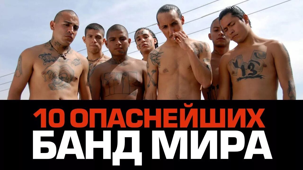 Опасная преступная группировка. Опасная преступная группировка
