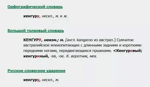 Шимпанзе род слова существительные
