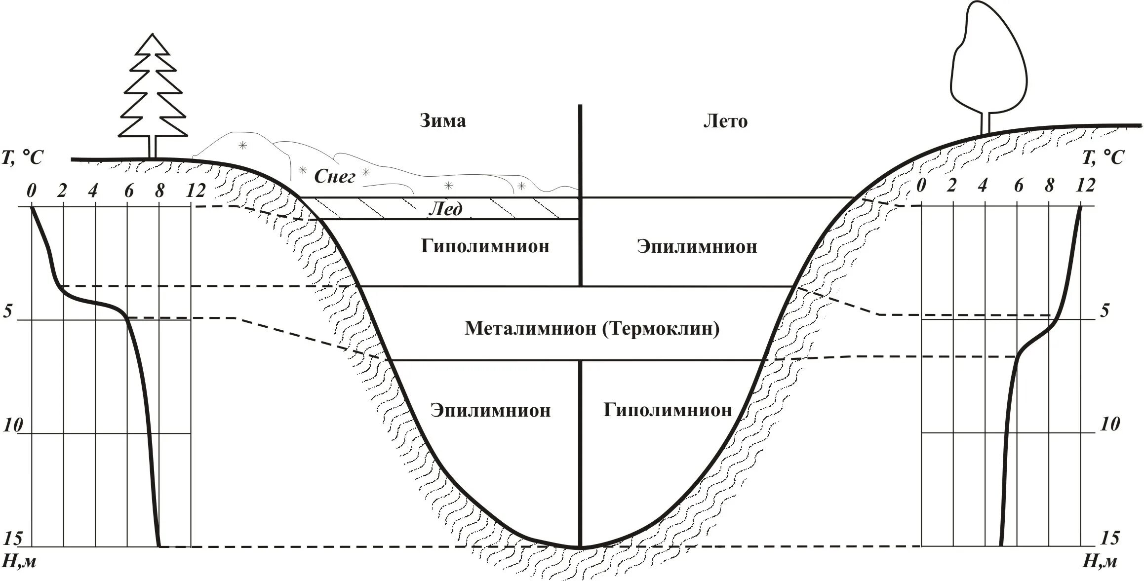 Температура воды в пруду. Температурная стратификация водоёмов. Эпилимнион металимнион гиполимнион. Температурная стратификация озер. Тепловой режим водоемов.