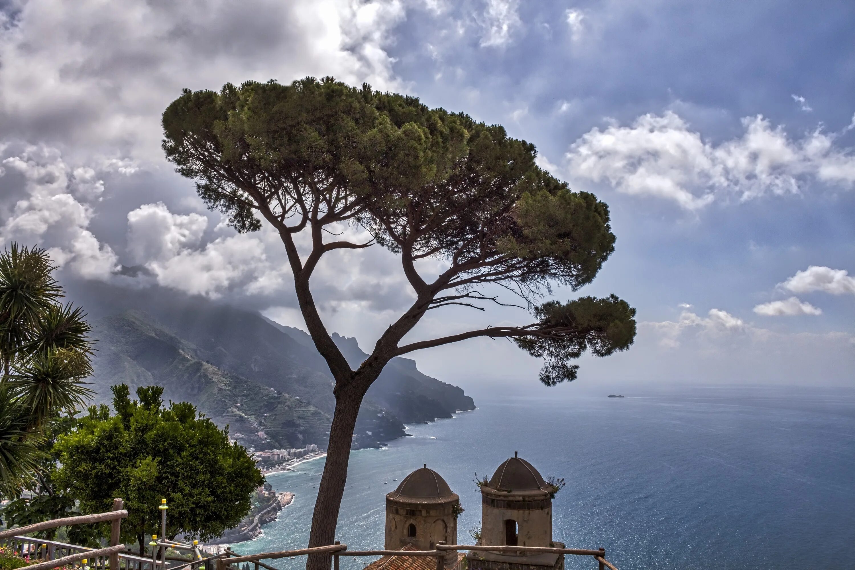 Пиния это. Амальфи Равелло Италия. Равелло (Ravello). Италия Амальфи сосна. Сосна итальянская Пиния.