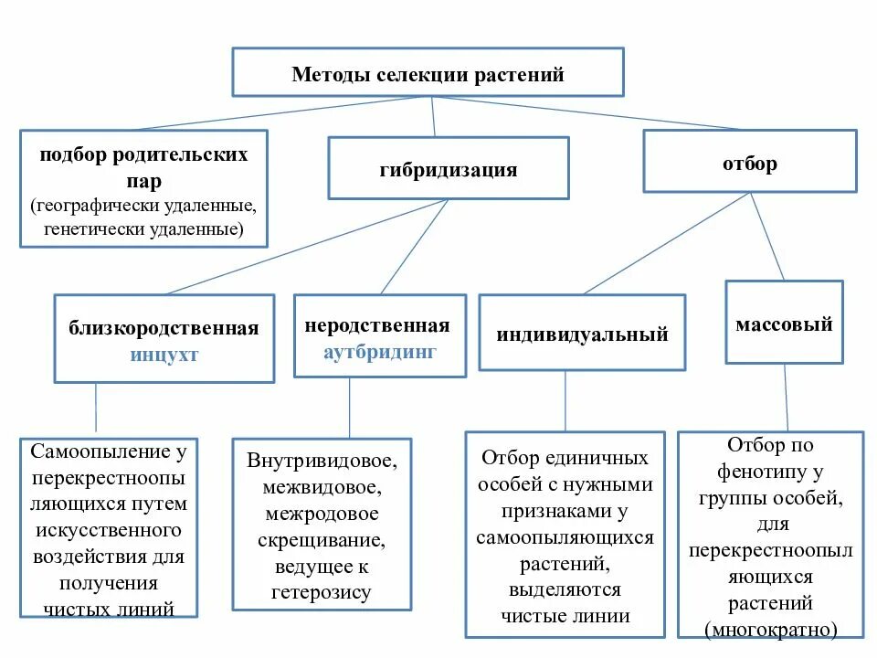 Какие направления отбора