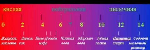 Уровень кислотности организма