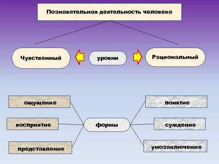 Рассмотрю следующие направления. Виды познавательной деятельности. Познавательная деятельность человека. Форма познавательной деятельности является. Личность и познавательная деятельность.