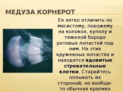 Медуза хватание перемещение защита