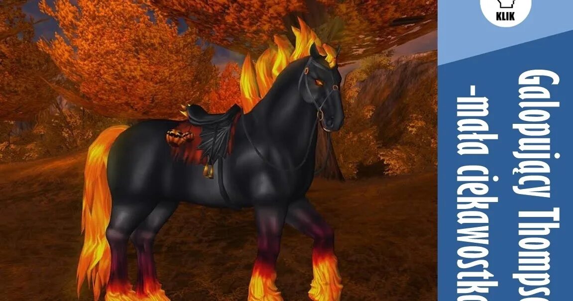 Стар стейбл магические лошади. Стар стейбл тракененская. Марварская лошадь стар стейбл. Стар стейбл марвари. Северо шведская лошадь стар стейбл.