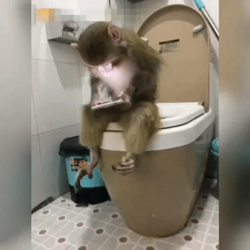 Я какаю