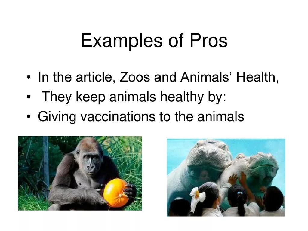 Pros and cons of keeping pets. Pros and cons зоопарка. The Zoo артикль. Advantages and disadvantages of Zoos. Pros and cons of keeping animals in Zoos.