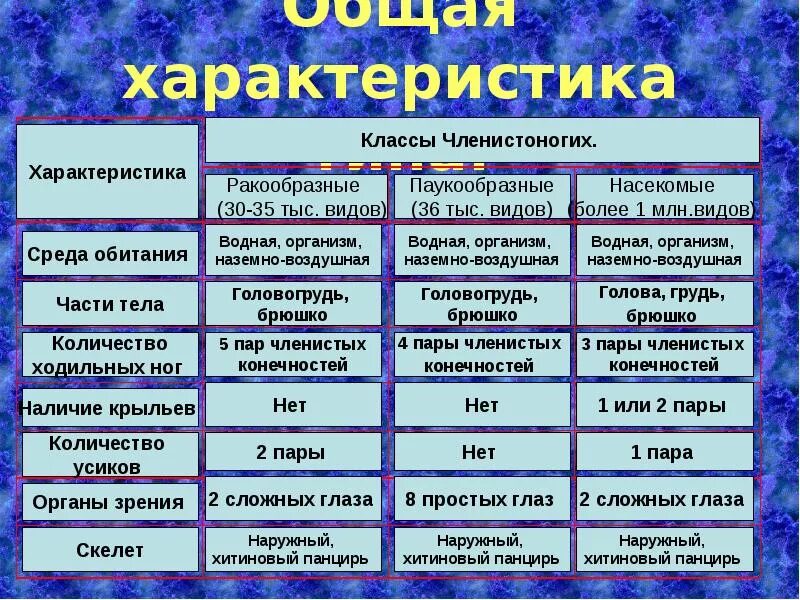 3 признака членистоногих. Общая характеристика ракообразных таблица 7 класс биология. Общая характеристика типа Членистоногие 7 класс таблица. Биология 7 класс таблица ракообразные паукообразные. Тип ракообразные таблица 7 класс.