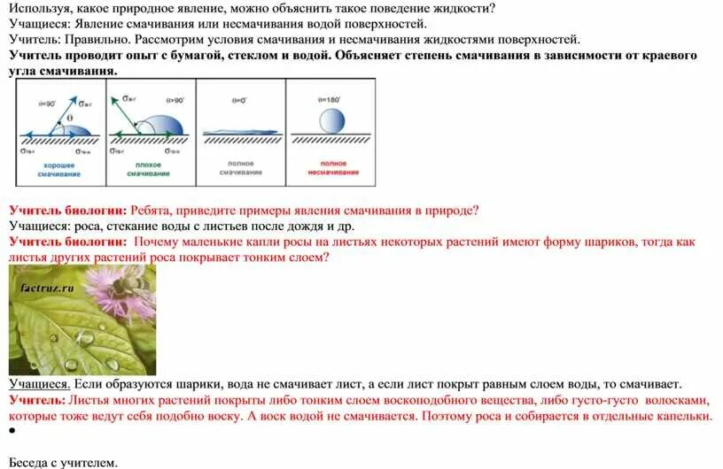 Капиллярные явления в растениях. Капиллярные явления в природе фото. Кроссворд капиллярные явления. Объяснение смачивания и капиллярного явления у растений.