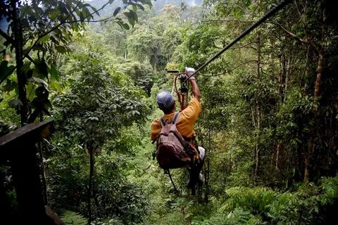 Ziplining in the Amazon Тропический Лес Амазонки, Картинки.