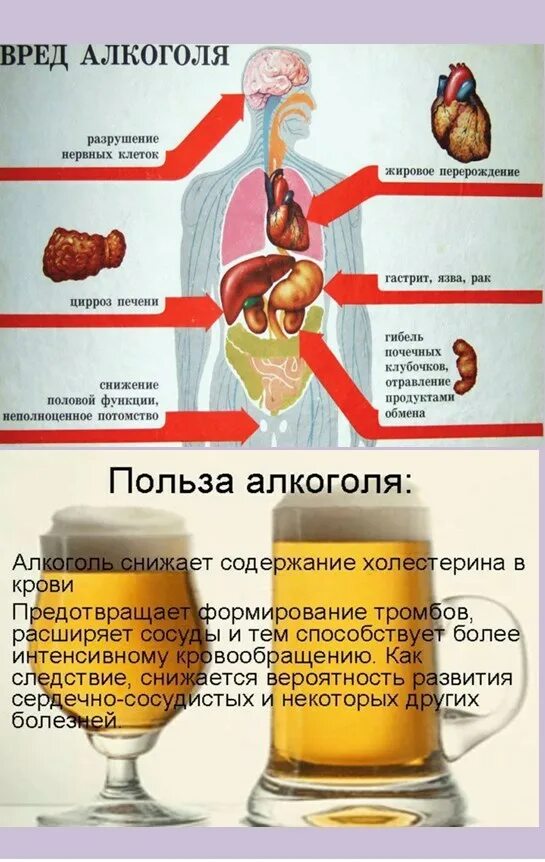 После операции можно пиво пить. Алкоголь полезен.