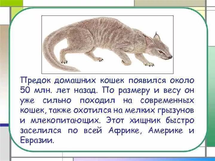 Что такое откуда они взялись