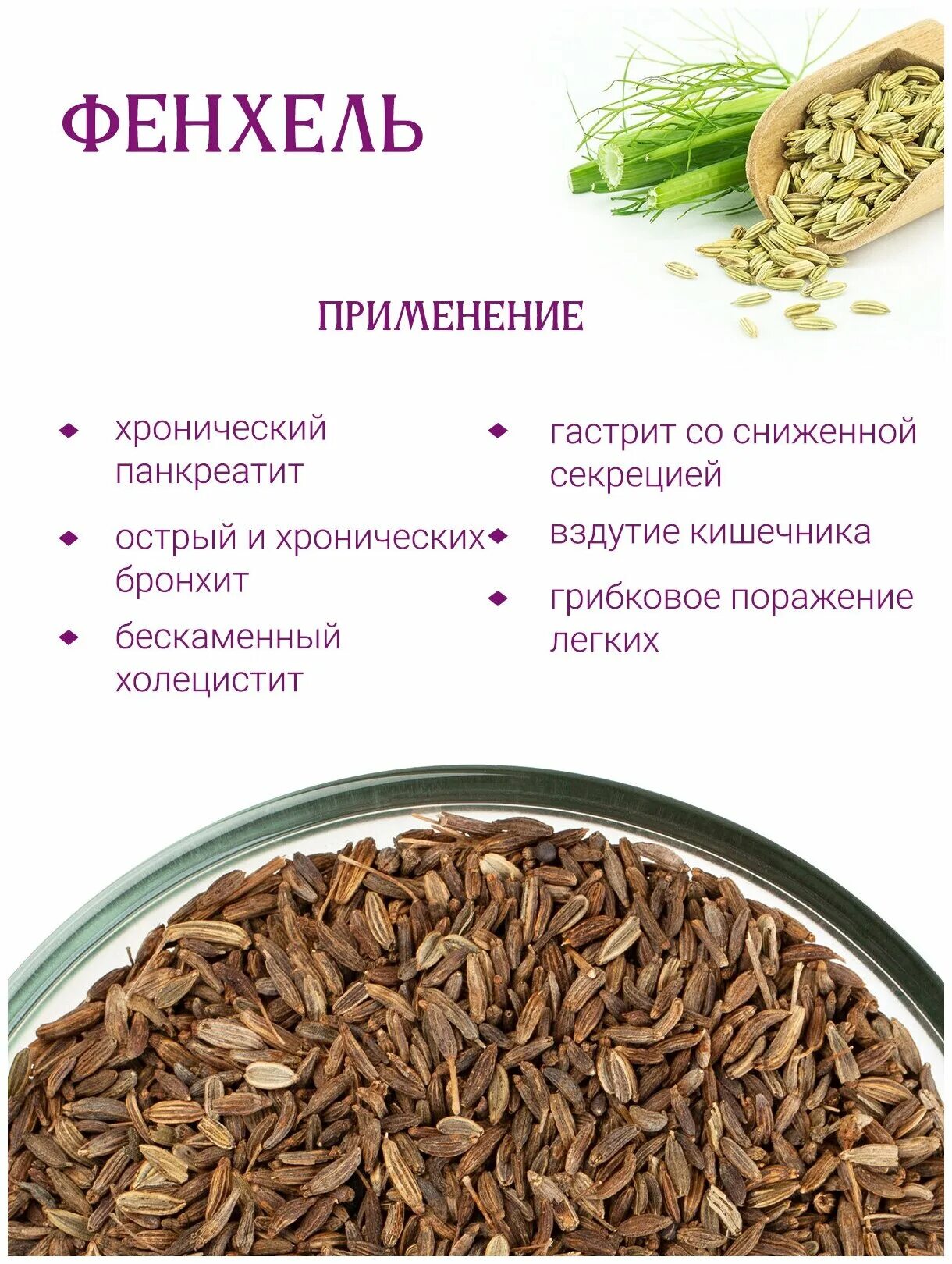 Фенхель свойства. Фенхель вред. Фенхель описание растения. Фенхеля плоды трава. Фенхель обыкновенный giant bronze.