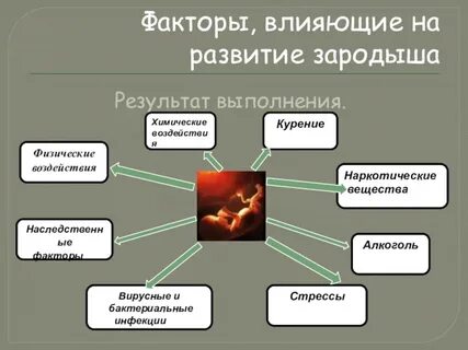 Влияние внешних условий на раннее развитие организма
