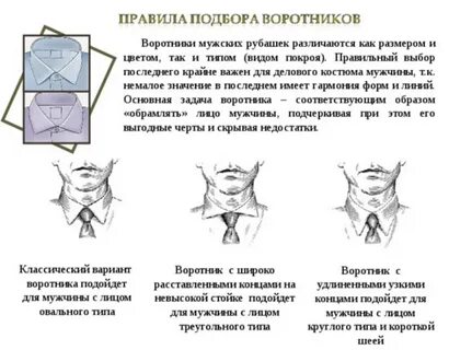 Воротники рубашек мужских виды