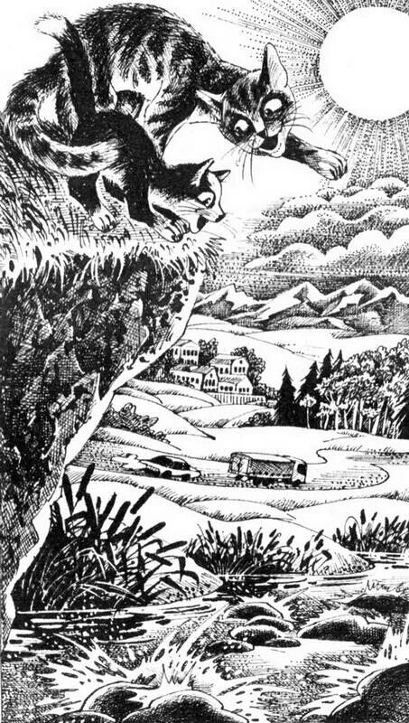 Коты воители месть звездного. Коты воители эрин хантер воссоединение. Коты воители месть звездного. Коты воители воссоединение. Книга коты воители месть звёздного луча книга 2.