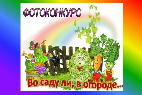 Во саду ли группа