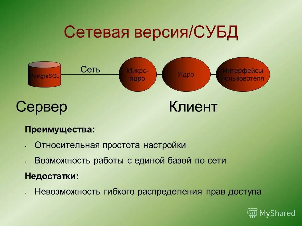 сетевых версий