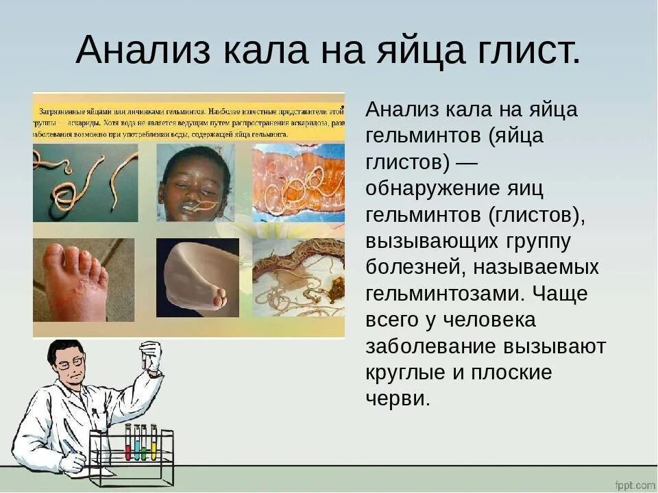 Исследование кала на глисты. Исследование калана яйца шлистов. Исследование кала на яйца гельминтов анализ. Сколько нужно сдавать кала