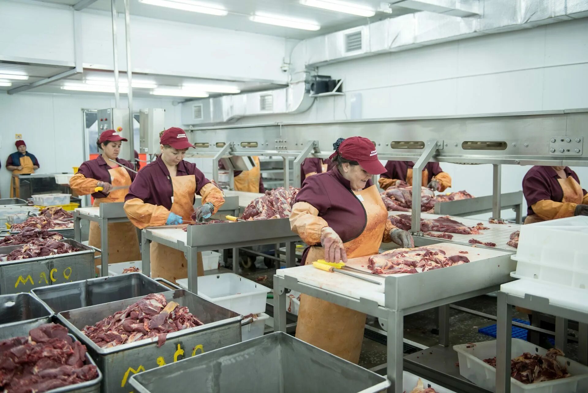Мясо на предприятия питания поступает. Пищевая промышленность. Тукаевская птицефабрика набережные челны. Мясной заготовочный цех. Предприятий мясной промышленности.