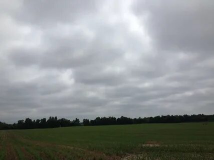 Dull weather