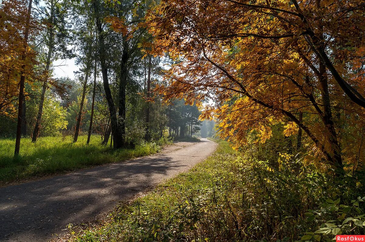 осенняя тропинка фото. расфокус это плохо или нет. расфокус в фотографии. пейзаж на расфокусе. расфокус природа.