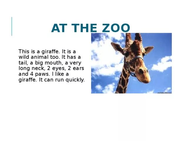 Do you like the zoo. Про жирафа по английскому языку. Стихотворение на английском про зоопарк. Стихи про зоопарк на английском языке. Конспект урока 5 класс at the Zoo.