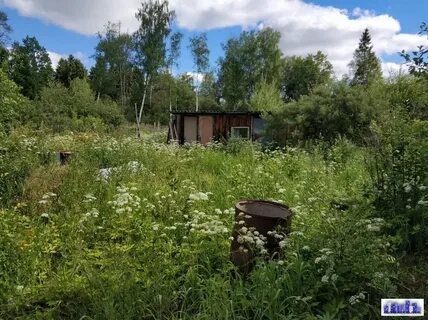 Снт солнечное большие вяземы