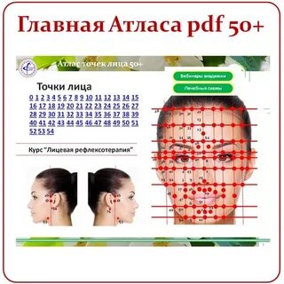 Номер точки