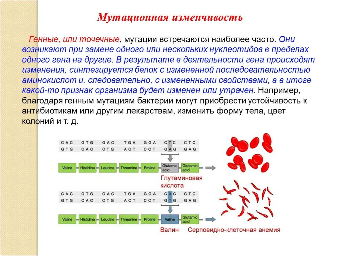 Изменчивость виды изменчивости мутации. Мутационная изменчивость генные мутации. генная изменчивость примеры. мутационная изменчивость изменчивость. примеры генной мутационной изменчивости.