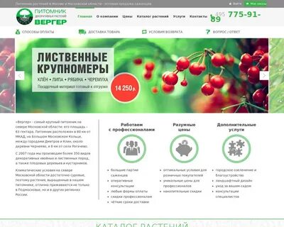 Питомник шичалина иркутск каталог