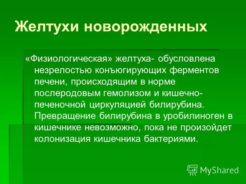 Физиологическая желтуха обусловлена. Физиологическая желтуха новорожденного обусловлена. Механизм развития желтухи новорожденных. Физиологическая желтуха этиология. Физиологическая желтуха новорожденных причины