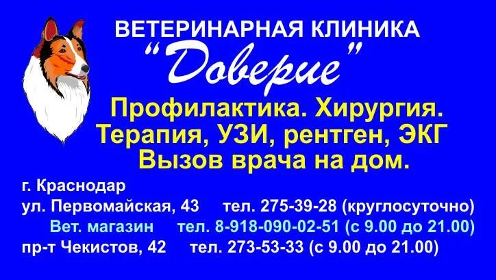 Доверие ветеринарная. Ветеринарная клиника доверие. Ветеринарная клиника Краснодар. Доверие ветклиника Краснодар. Ветклиника ветклиника Краснодар.