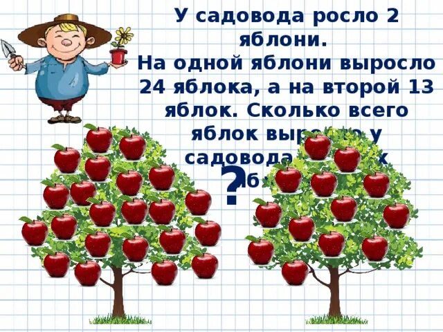 Расти расти яблонька. Сколько ростëт я Блоня. Насколько вырастает яблоня. Сколько растет яблоня. Яблоня дерево сад.