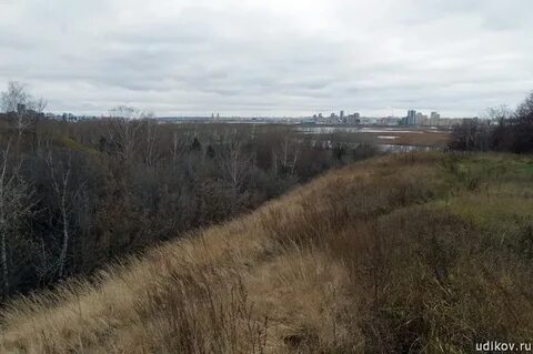 Русско немецкая швейцария