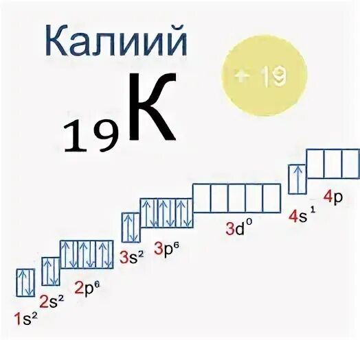 Три атома калия. Электронно графическая формула калия. Электронно графическая схема калия. Электронная конфигурация калия схема. Электронно графическая конфигурация калия.