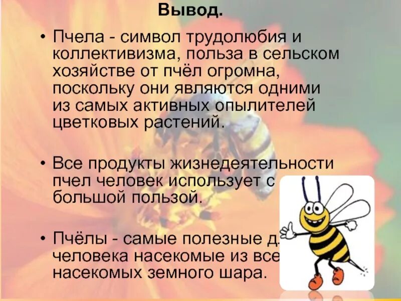 Текст про пчел. Вывод про пчел. Информация о пчелах. Проект на тему пчелы. Проект про пчел для детей.