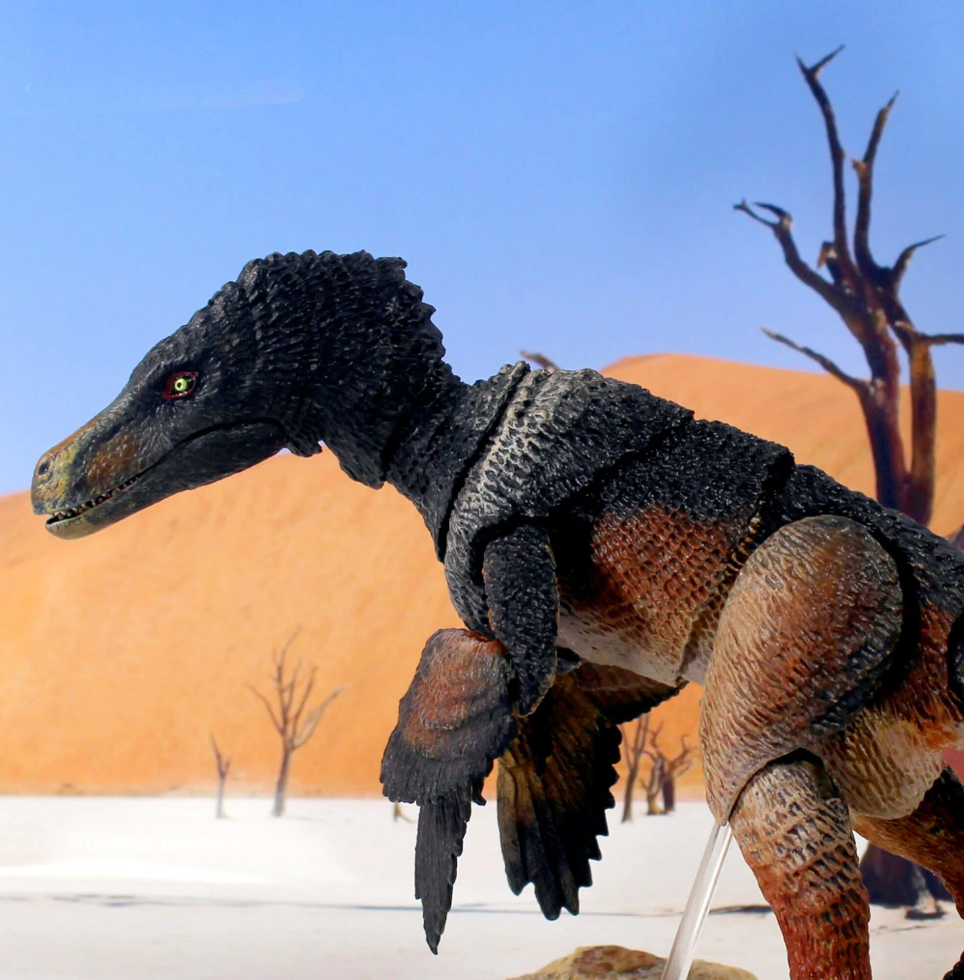 Динозавр велоцераптор. Велоцираптор mongoliensis. Велоцираптор Beasts of the Mesozoic. Велоцираптора Раптор. Velociraptor osmolskae.