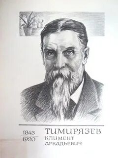Темерязев