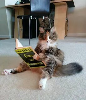 Funny reading