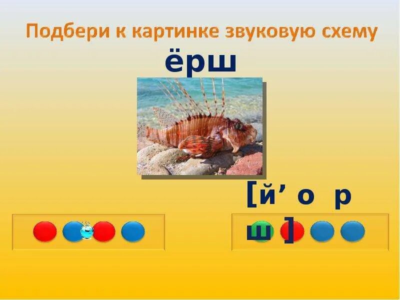 Ерш по схеме звуков. Схема слова Ерш. Ёрш звуковая схема. Схема звуков ёрш. Ежик звукобуквенный