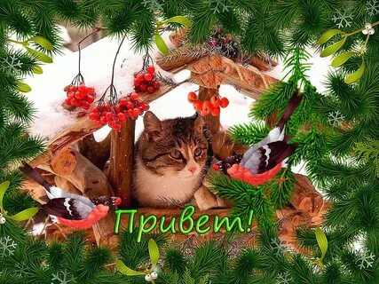 Привет новый год