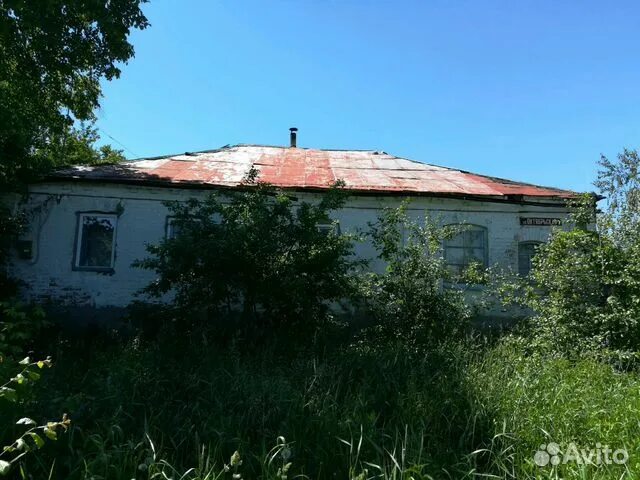 Погода рождественская хава воронежская. Рождественская хава воронежская область. Воронеж рождественская хава. Село рождественская хава воронежская. Погода рождественская хава воронежская.