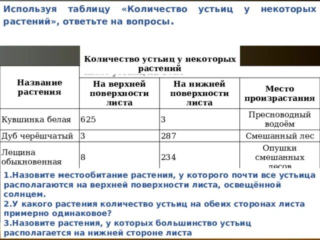 "Внутреннее строение листа"
