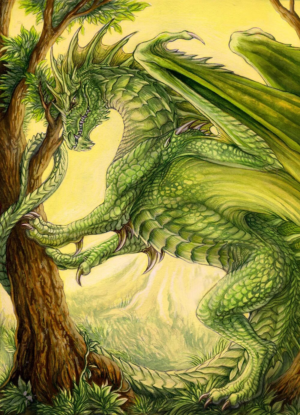 Рисунок зеленого деревянного дракона. Брим зелёный дракон. Лесной дракон ДНД. Зеленый дракон кугурими. Земляной дракон.